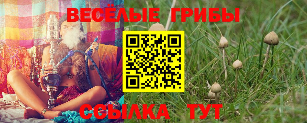 Кубинка  Галлюциногенные грибы мухоморы  Галлюциногенные грибы Cubensis  Вход с VPN 
